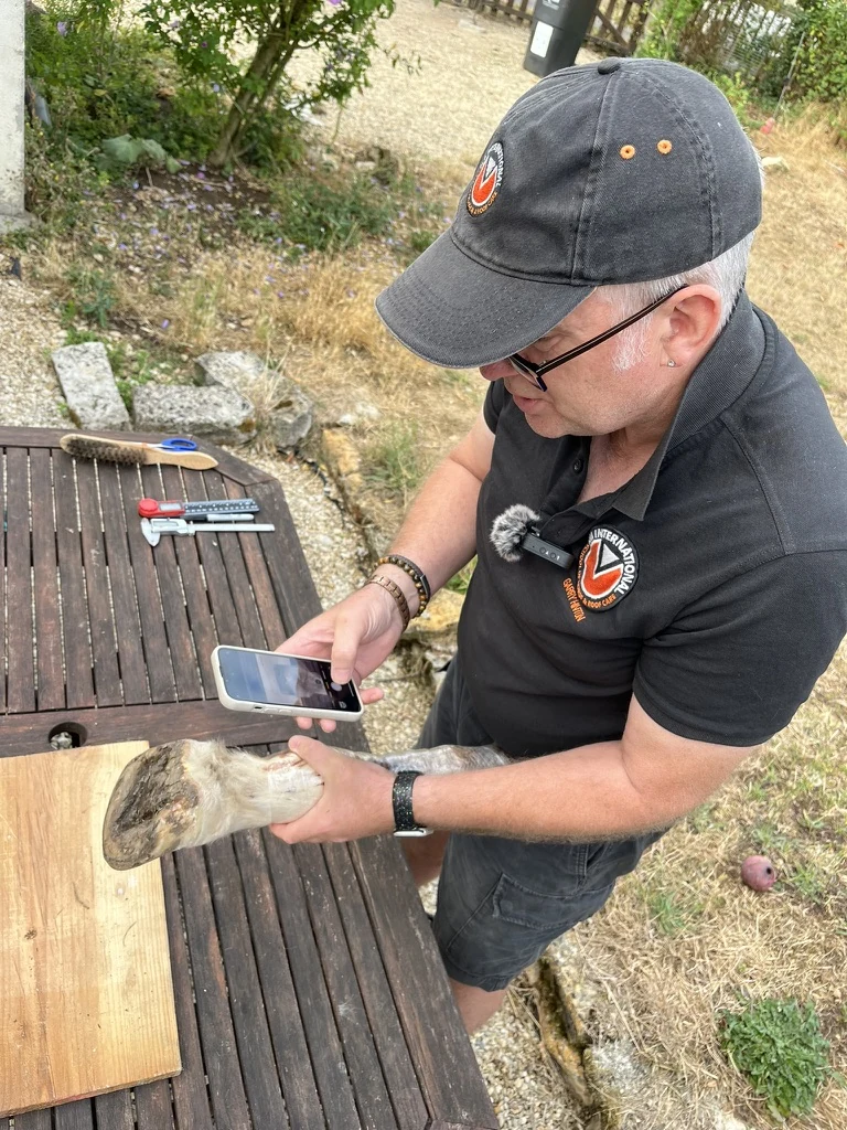 Garry photographing a horse’s foot from above while supporting the lower limb