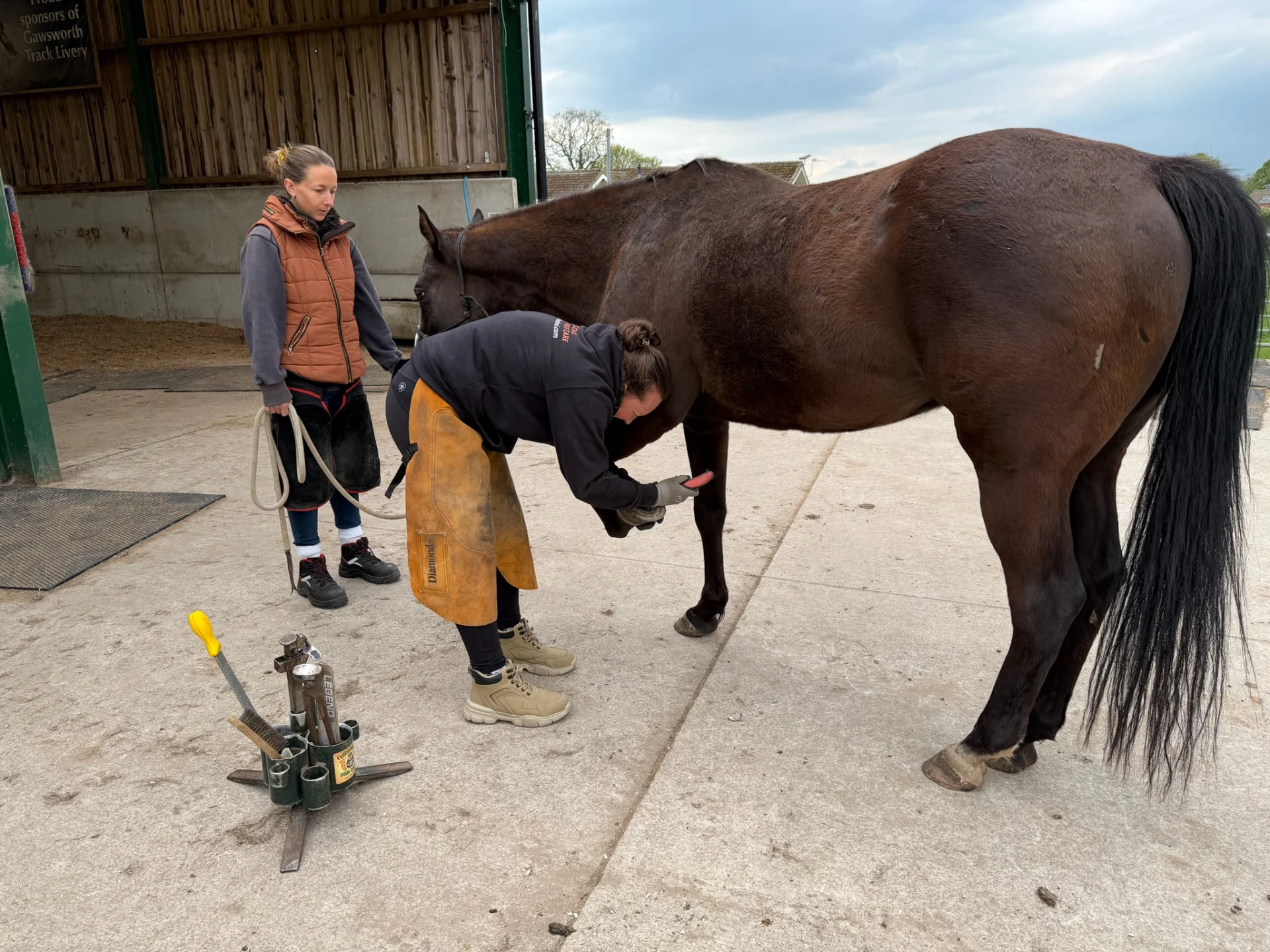 An HMB Pro student practising careful hoof care with guidance