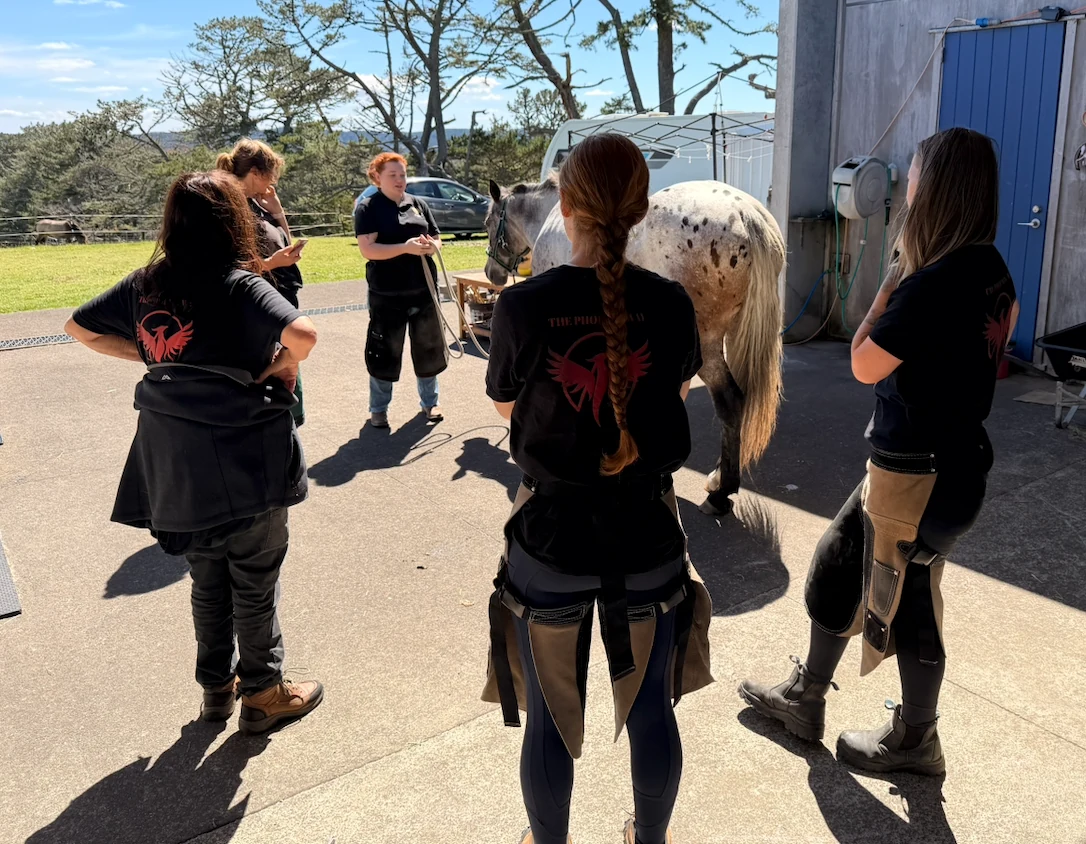 Hoofing Marvellous team members observing a horse together outdoors