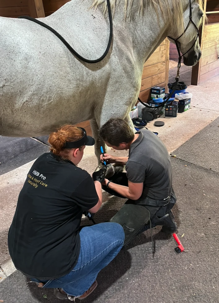 Asha teaching an owner how to recognise balance in her own horse's feet