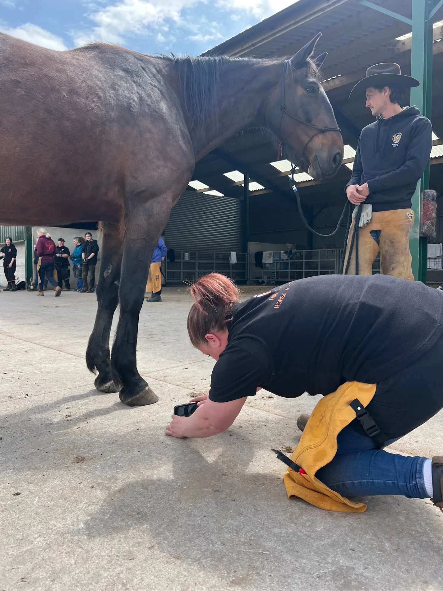 HM student photographing a horse's hoof from ground level to obtain a repeatable lateral view for hoof assessment.