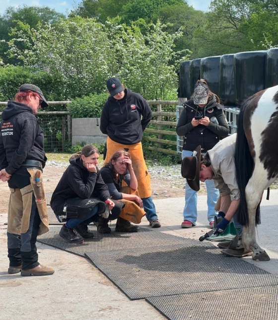 Will demonstrating a hind-foot trim to students while Lindsay observes.
