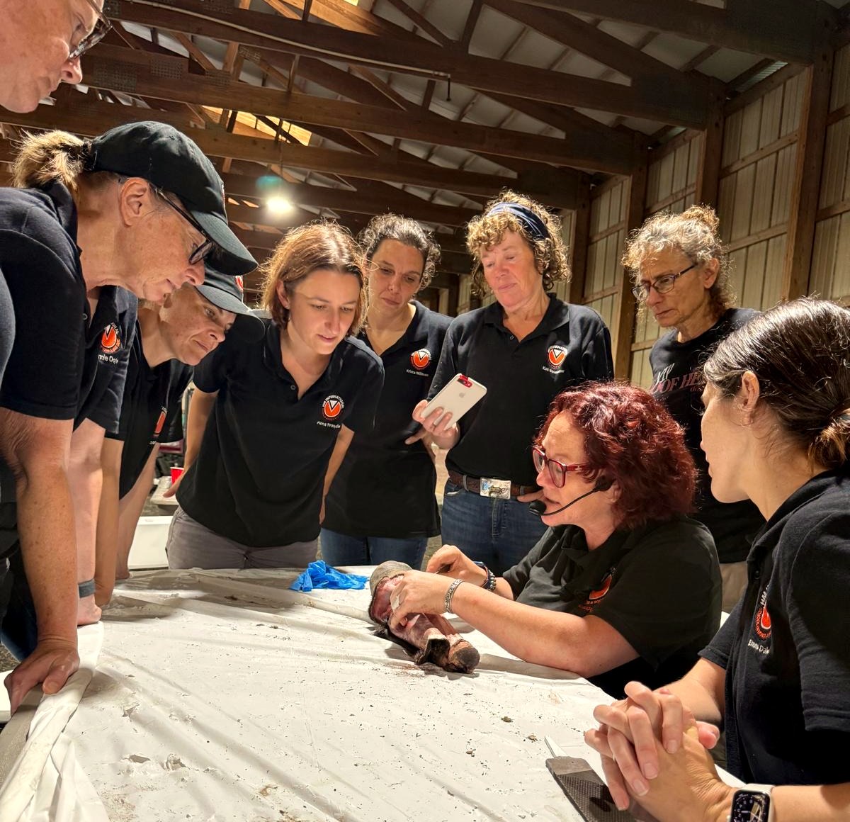 HMB Pro students gather around an instructor as she works on a hoof at a teaching table