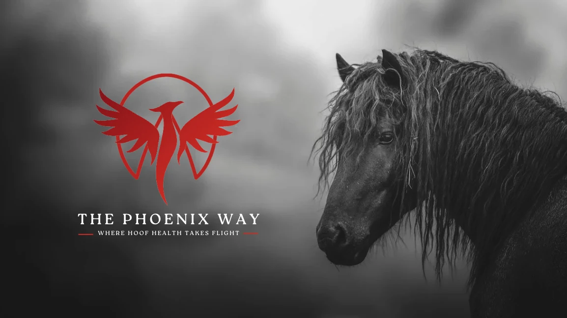 The Phoenix Way Facebook banner: the red phoenix emblem with the words The Phoenix Way and the tagline Where hoof health takes flight, beside a black-and-white portrait of a dark horse.