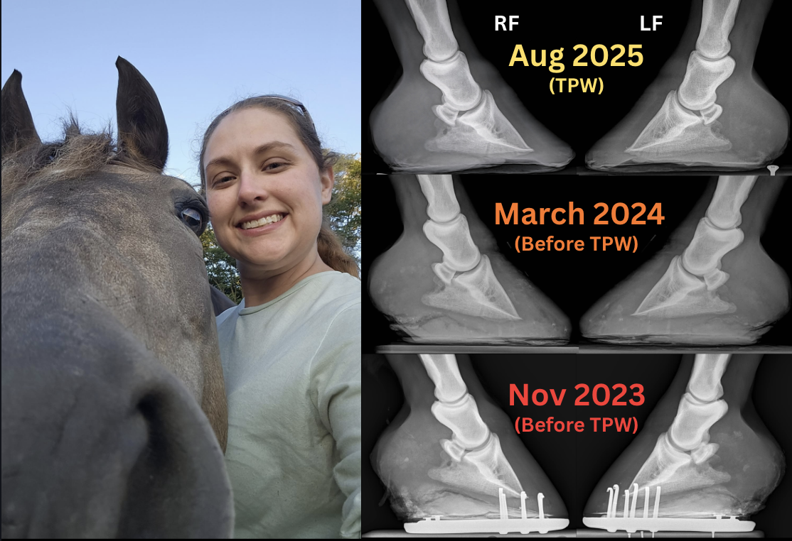 Melanie beside her mare, with paired right and left forefoot radiographs labelled November 2023 and March 2024 before TPW, and August 2025 TPW