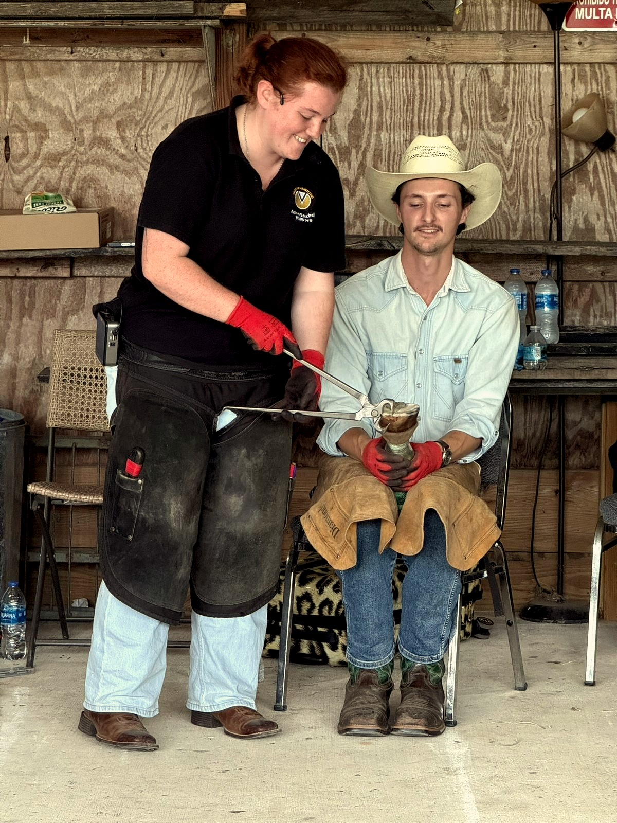 Practical hoof work demonstrated with a seated participant