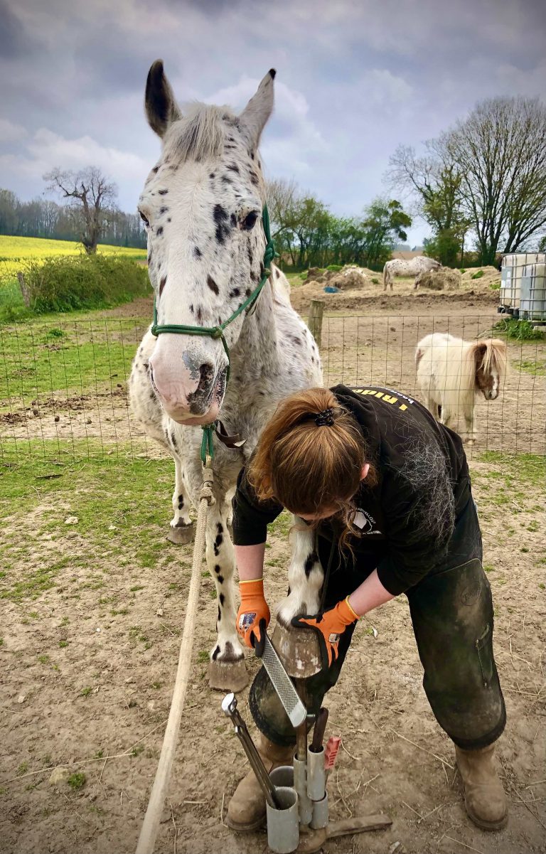 Hoofing Marvellous Horse & Hoof Care Naturally